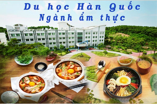 Điều kiện và cơ hội du học Hàn Quốc ngành nấu ăn như thế nào?