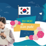 ho-so-du-hoc-han-quoc-2